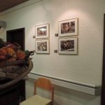 Ausstellung Bad Urach Frühjahr 2017