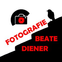 FOTOGRAFIE BEATE DIENER